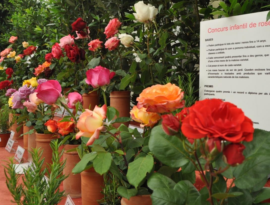 Exposició Nacional de Roses