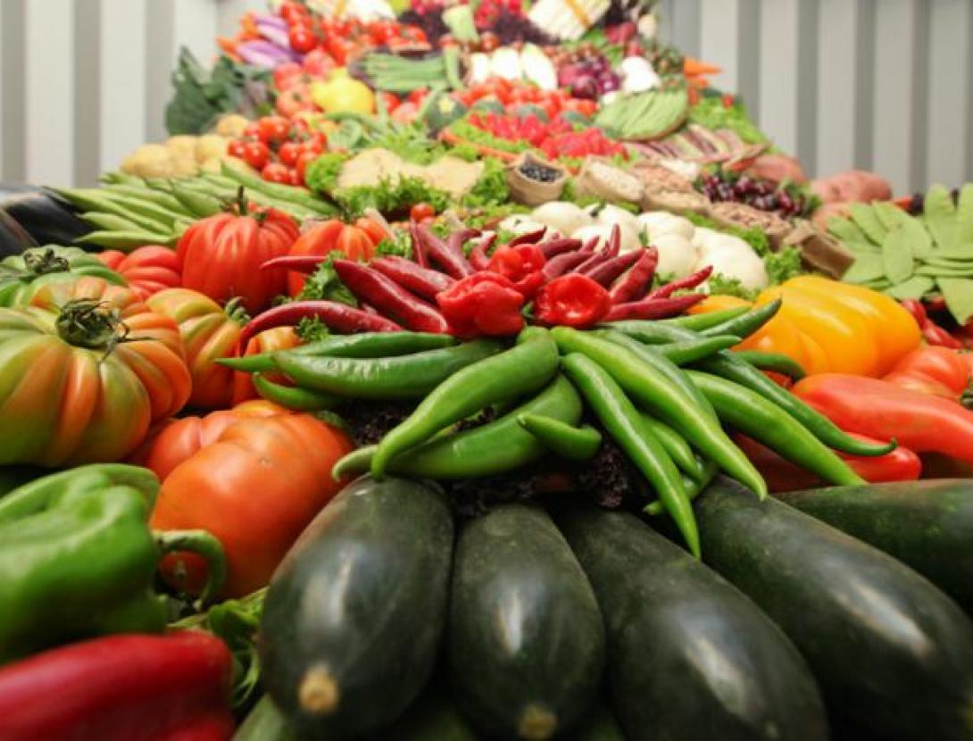 Fira Sant Isidre de Viladecans