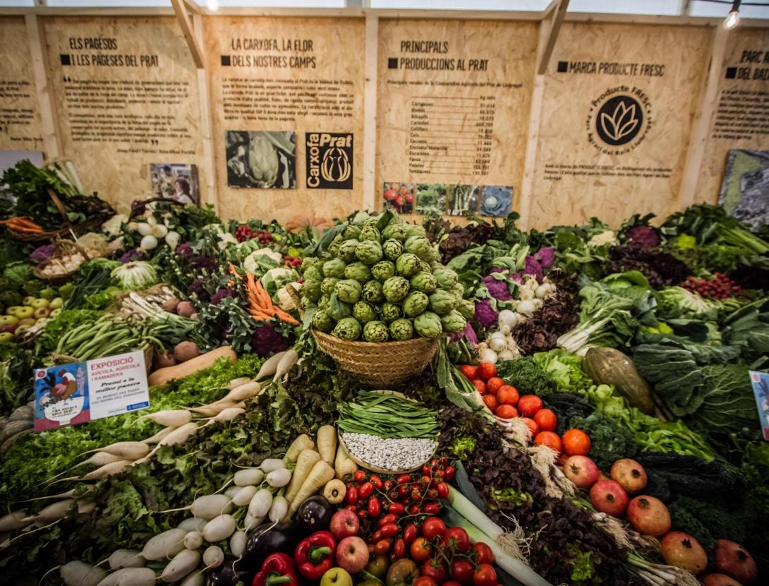 Fira Avícola Raça Prat al Prat de Llobregat