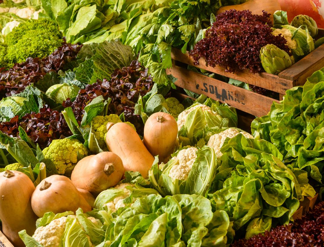 Mercat de Pagès de Gavà