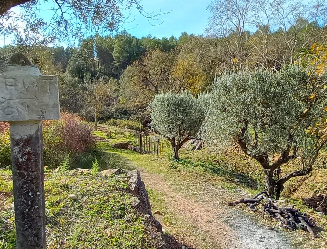 Corbera de Llobregat