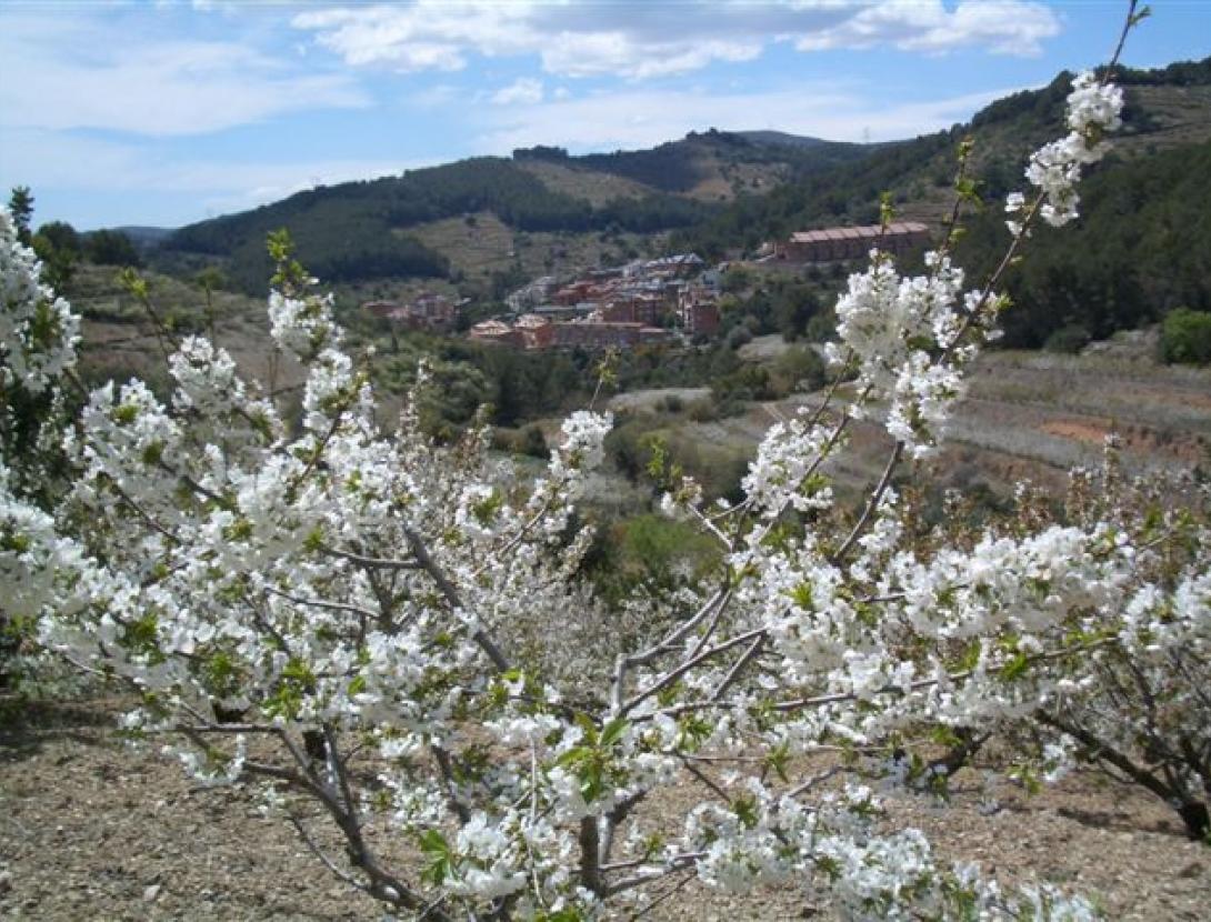 Sant Climent de Llobregat