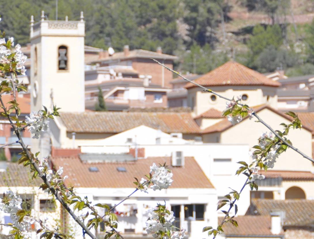 La Palma de Cervelló