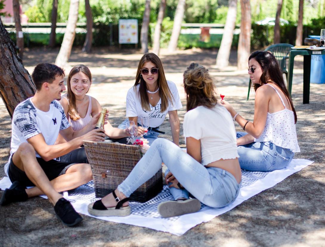 AREA DE PIC-NIC Y BARBACOAS EUROPA