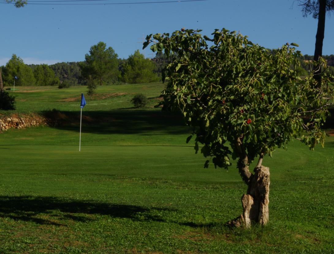 Pitch &amp; Putt4.JPG