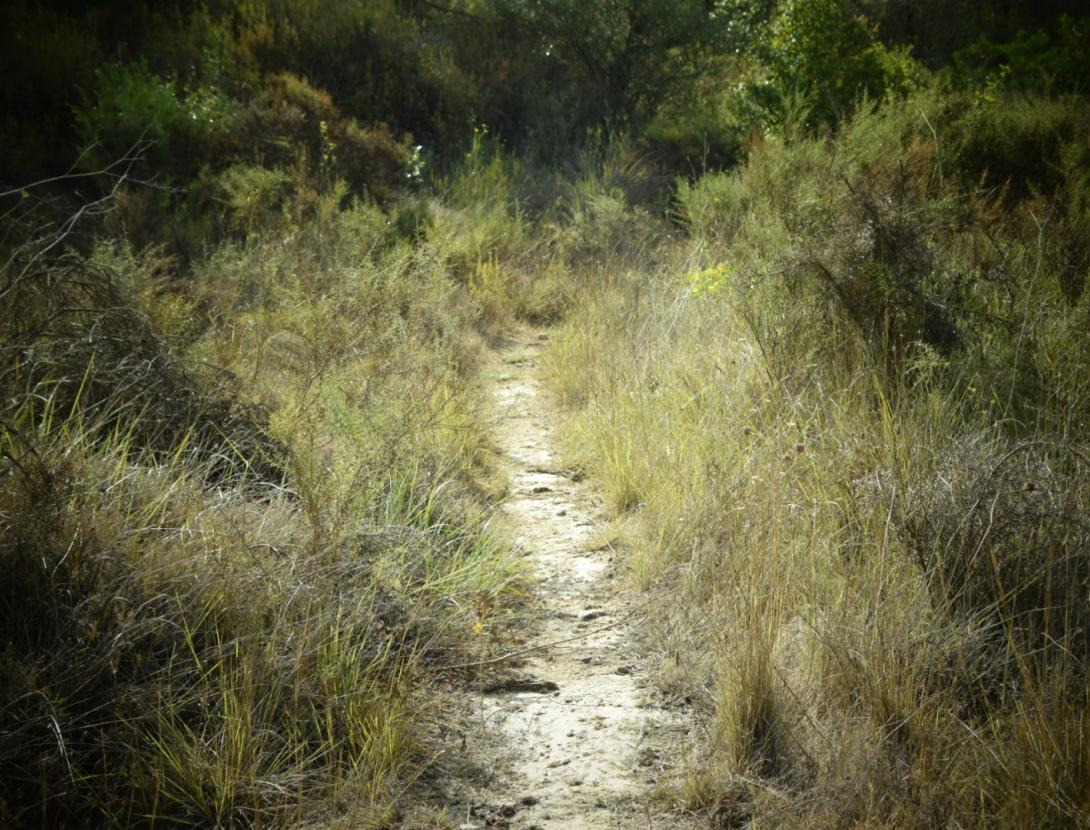 Senderisme a Corbera de Llobregat