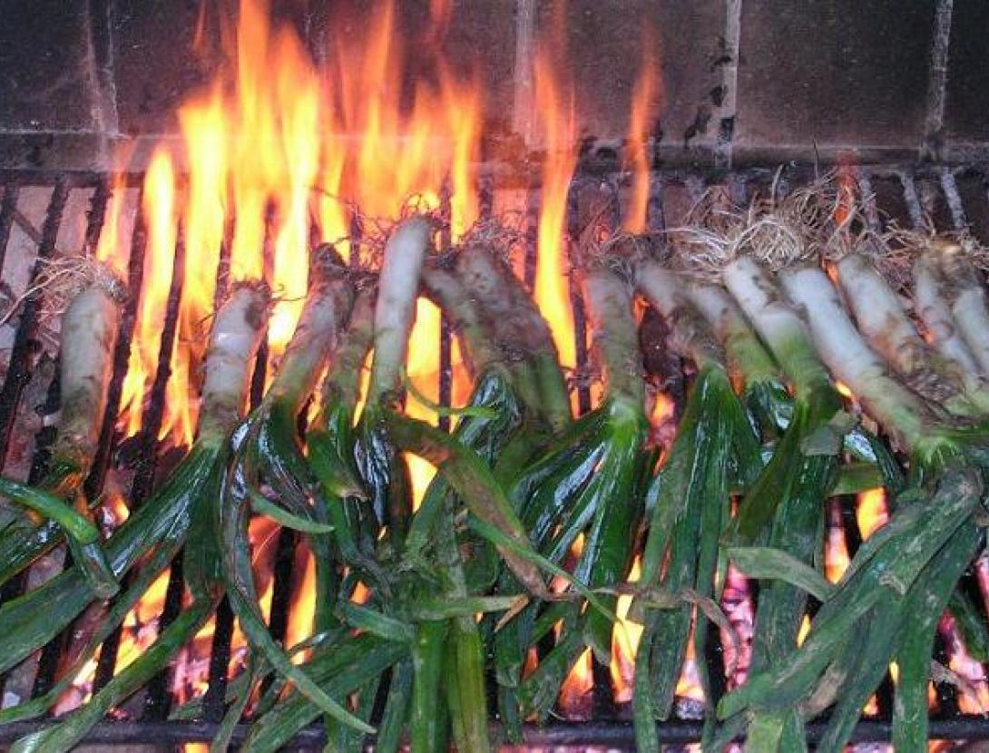 Calçotades.jpg
