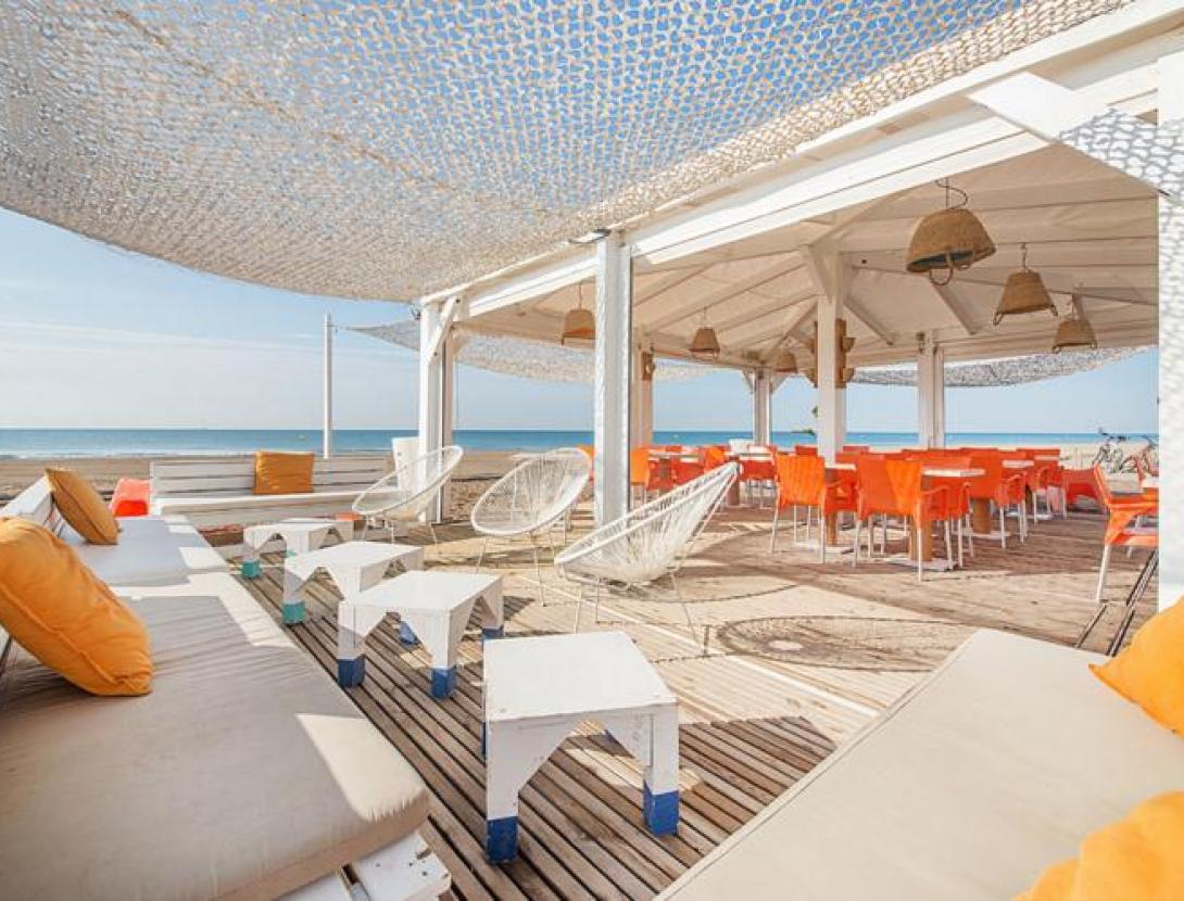 Txiringuito iguana 3.jpg